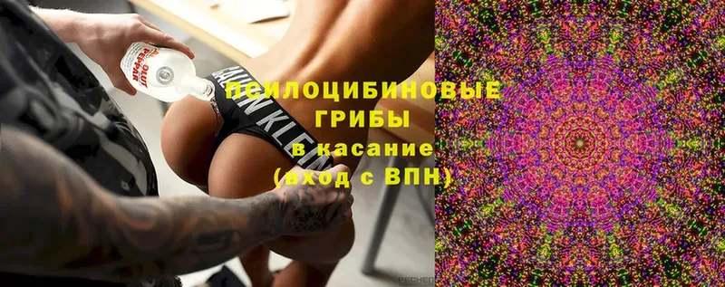 Галлюциногенные грибы Magic Shrooms  Кировград 